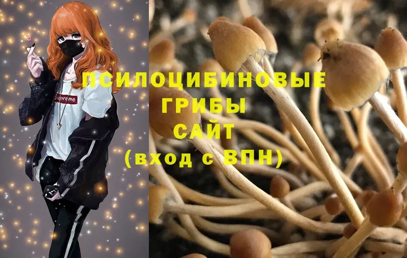 Псилоцибиновые грибы Magic Shrooms  даркнет телеграм  Миньяр 